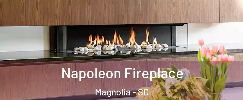 Napoleon Fireplace Magnolia - SC