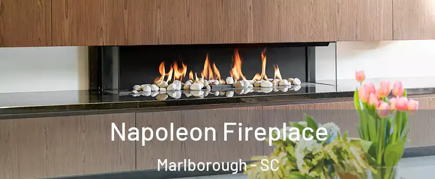 Napoleon Fireplace Marlborough - SC