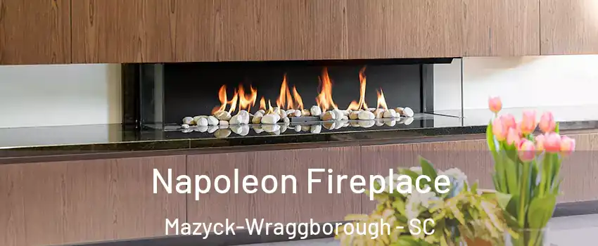 Napoleon Fireplace Mazyck-Wraggborough - SC