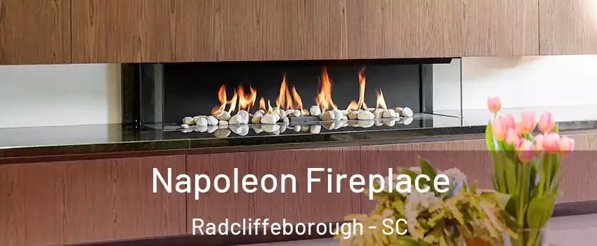 Napoleon Fireplace Radcliffeborough - SC