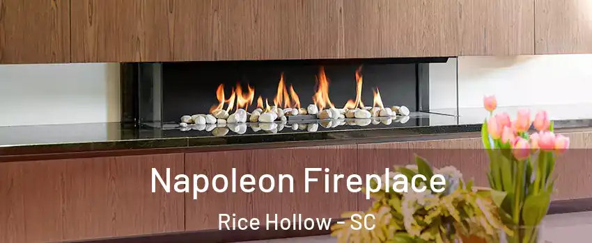 Napoleon Fireplace Rice Hollow - SC