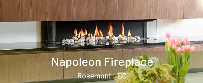 Napoleon Fireplace Rosemont - SC