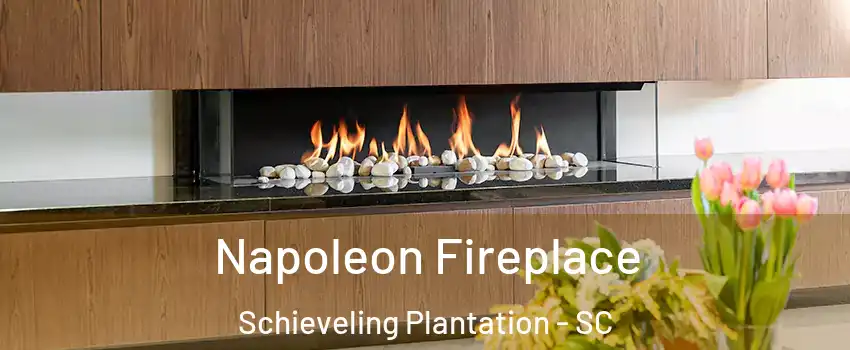 Napoleon Fireplace Schieveling Plantation - SC