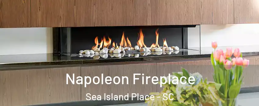 Napoleon Fireplace Sea Island Place - SC