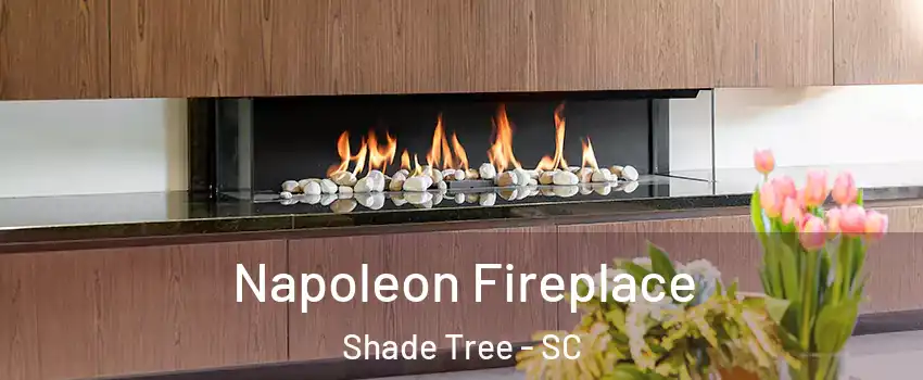 Napoleon Fireplace Shade Tree - SC