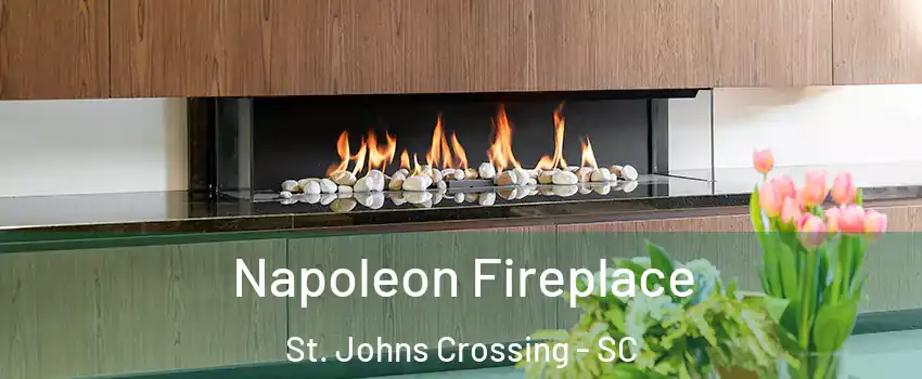 Napoleon Fireplace St. Johns Crossing - SC