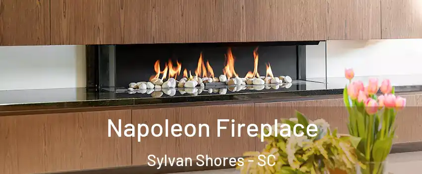 Napoleon Fireplace Sylvan Shores - SC