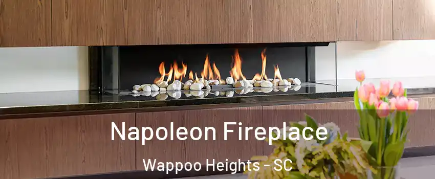 Napoleon Fireplace Wappoo Heights - SC