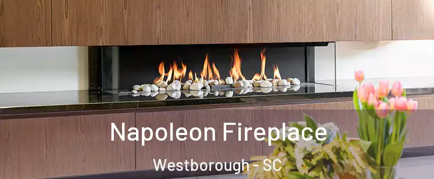 Napoleon Fireplace Westborough - SC