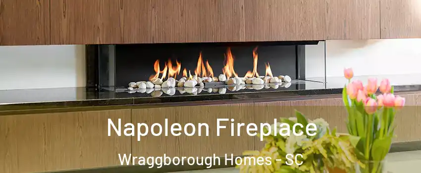 Napoleon Fireplace Wraggborough Homes - SC