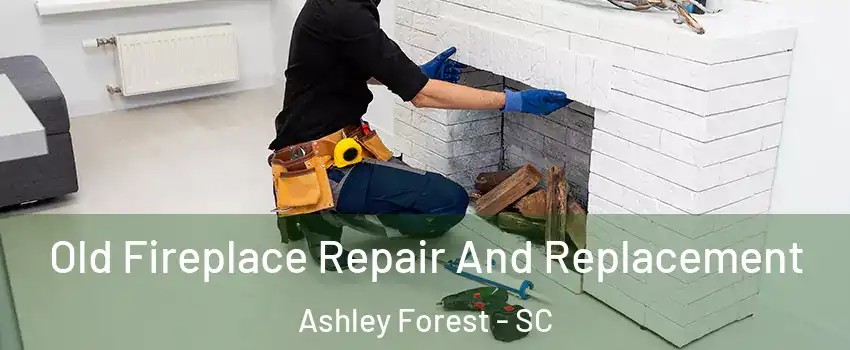 Old Fireplace Repair And Replacement Ashley Forest - SC