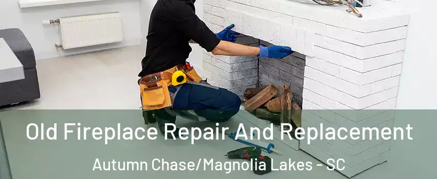 Old Fireplace Repair And Replacement Autumn Chase/Magnolia Lakes - SC