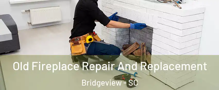 Old Fireplace Repair And Replacement Bridgeview - SC