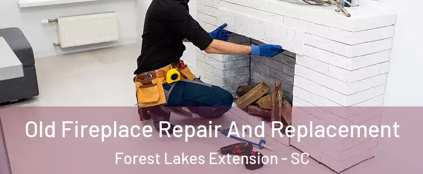 Old Fireplace Repair And Replacement Forest Lakes Extension - SC