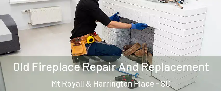 Old Fireplace Repair And Replacement Mt Royall & Harrington Place - SC