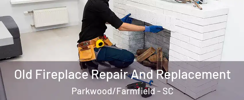 Old Fireplace Repair And Replacement Parkwood/Farmfield - SC