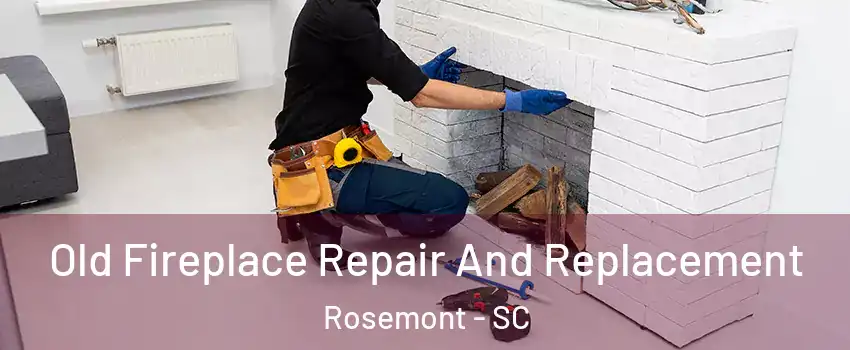 Old Fireplace Repair And Replacement Rosemont - SC