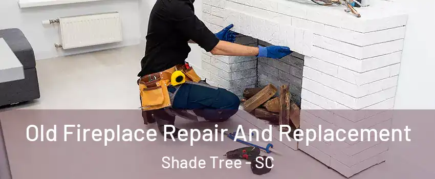 Old Fireplace Repair And Replacement Shade Tree - SC