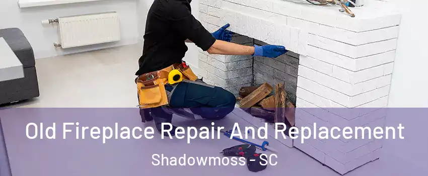 Old Fireplace Repair And Replacement Shadowmoss - SC