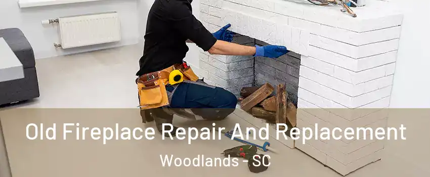 Old Fireplace Repair And Replacement Woodlands - SC