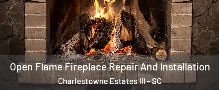 Open Flame Fireplace Repair And Installation Charlestowne Estates III - SC