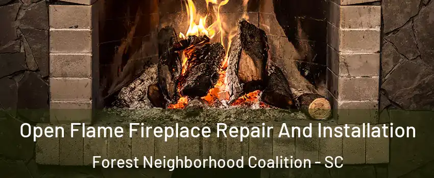 Open Flame Fireplace Repair And Installation Forest Neighborhood Coalition - SC