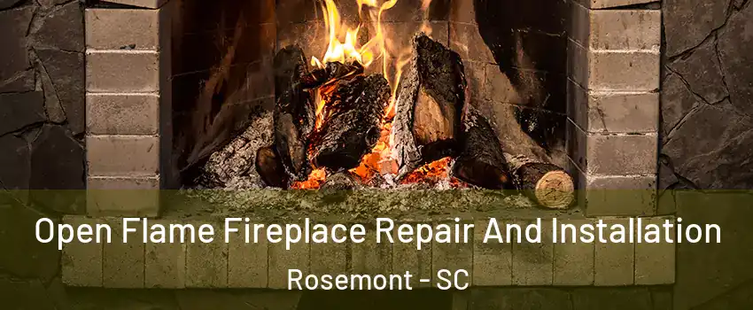 Open Flame Fireplace Repair And Installation Rosemont - SC