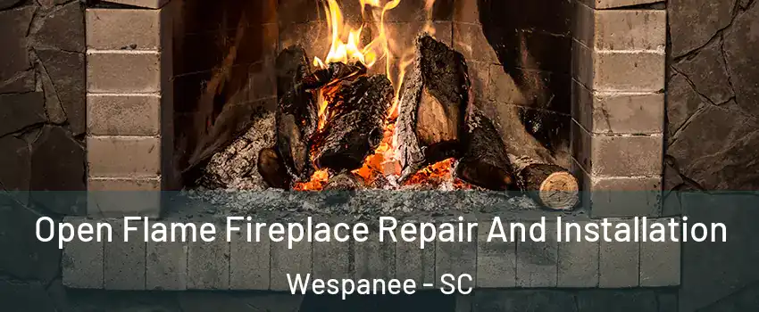 Open Flame Fireplace Repair And Installation Wespanee - SC