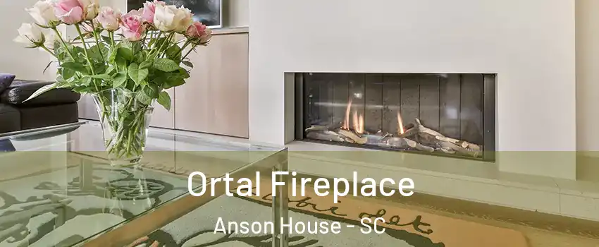 Ortal Fireplace Anson House - SC