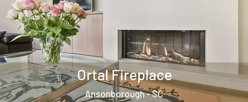 Ortal Fireplace Ansonborough - SC