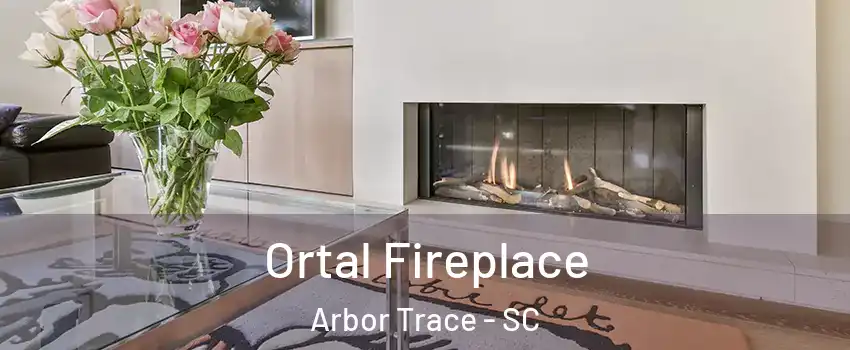 Ortal Fireplace Arbor Trace - SC