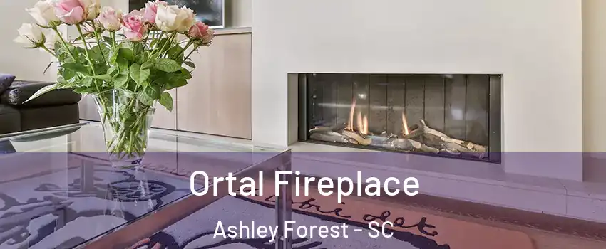 Ortal Fireplace Ashley Forest - SC