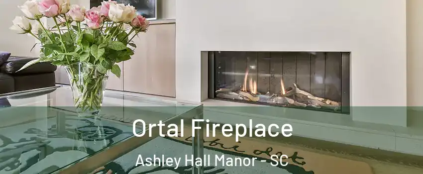 Ortal Fireplace Ashley Hall Manor - SC