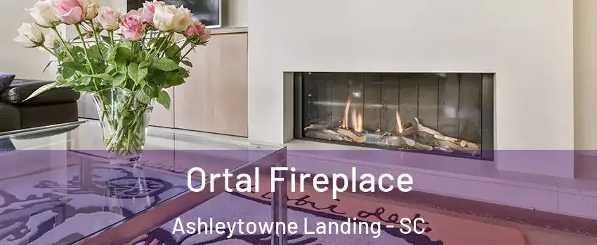 Ortal Fireplace Ashleytowne Landing - SC