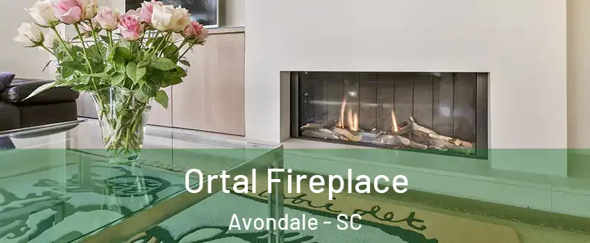 Ortal Fireplace Avondale - SC