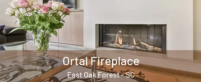 Ortal Fireplace East Oak Forest - SC