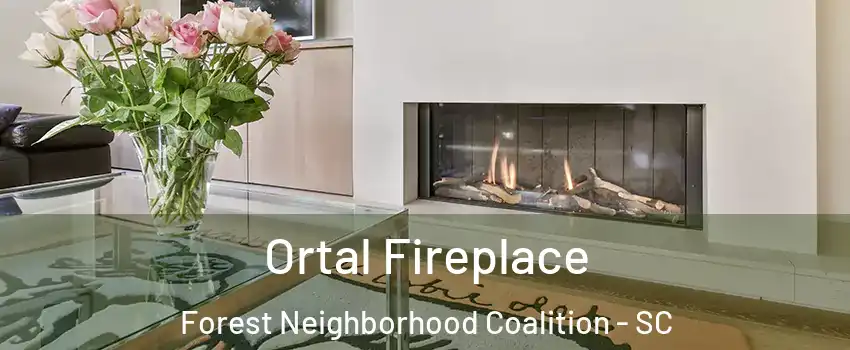 Ortal Fireplace Forest Neighborhood Coalition - SC