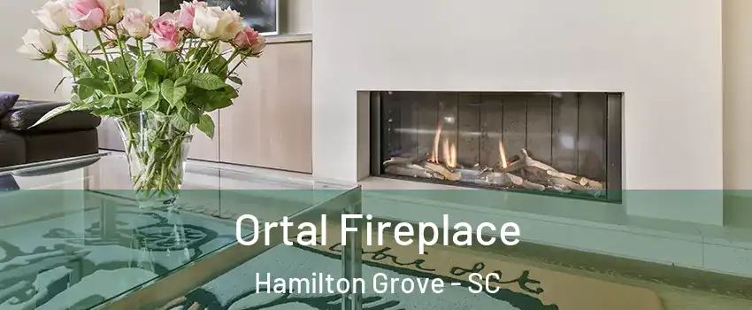 Ortal Fireplace Hamilton Grove - SC