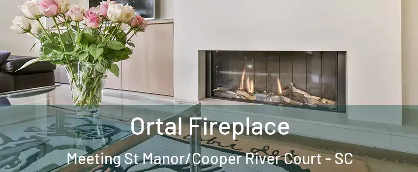 Ortal Fireplace Meeting St Manor/Cooper River Court - SC