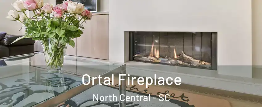 Ortal Fireplace North Central - SC