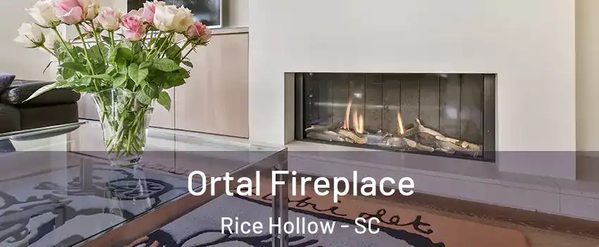 Ortal Fireplace Rice Hollow - SC