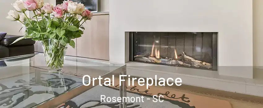 Ortal Fireplace Rosemont - SC