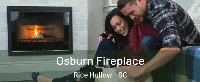 Osburn Fireplace Rice Hollow - SC