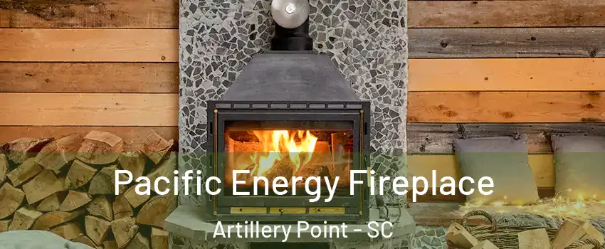 Pacific Energy Fireplace Artillery Point - SC