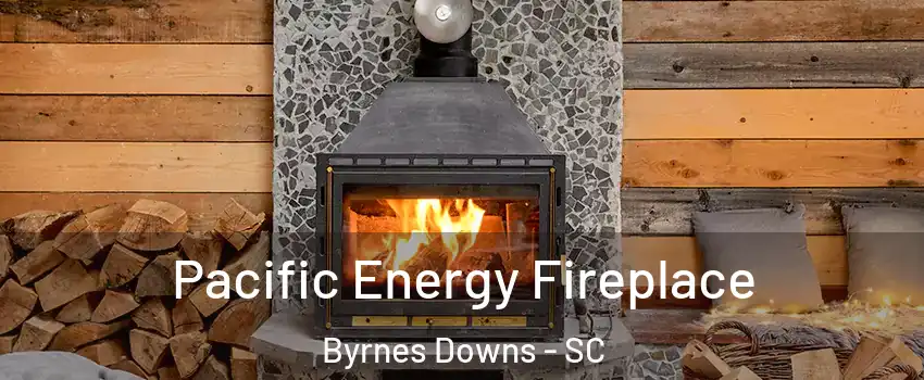 Pacific Energy Fireplace Byrnes Downs - SC