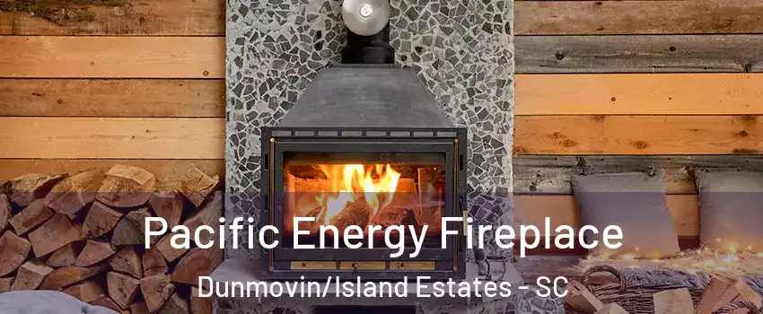 Pacific Energy Fireplace Dunmovin/Island Estates - SC