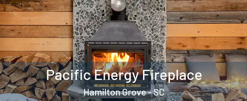 Pacific Energy Fireplace Hamilton Grove - SC