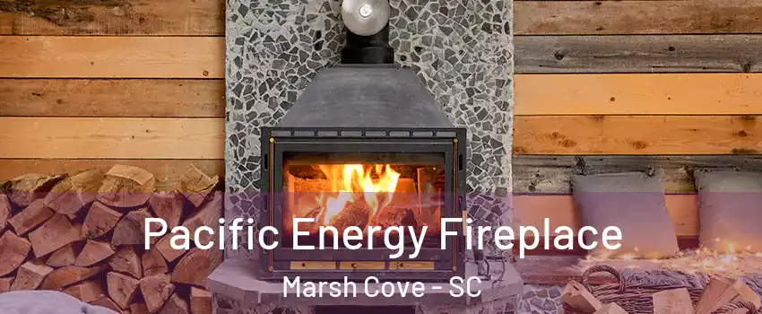 Pacific Energy Fireplace Marsh Cove - SC