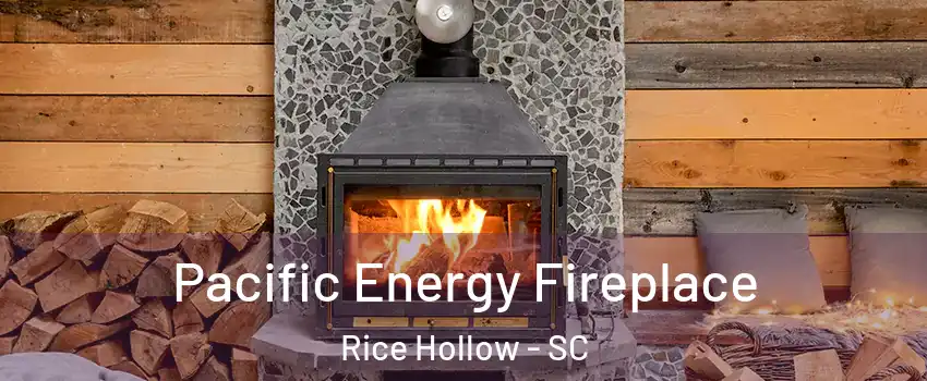 Pacific Energy Fireplace Rice Hollow - SC