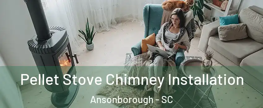 Pellet Stove Chimney Installation Ansonborough - SC